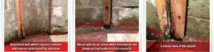 Dampness Mold and mildew solutions